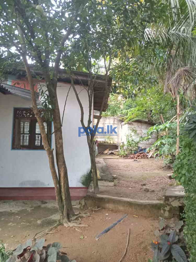 Kahawatta wellandura house for sale - photo 5