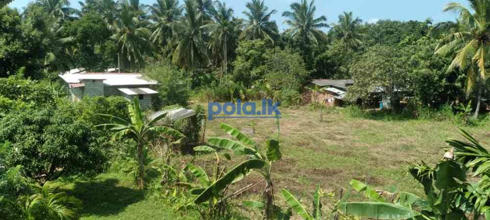 Land for sale in dambulla - photo 11