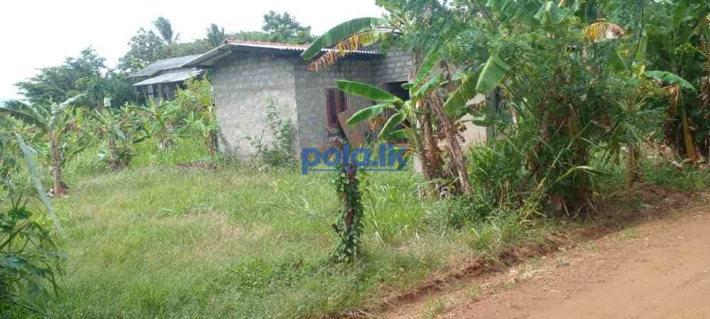 Land for sale in dambulla - photo 4