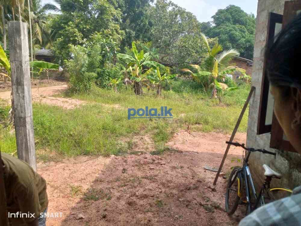 Land for sale in dambulla - photo 6