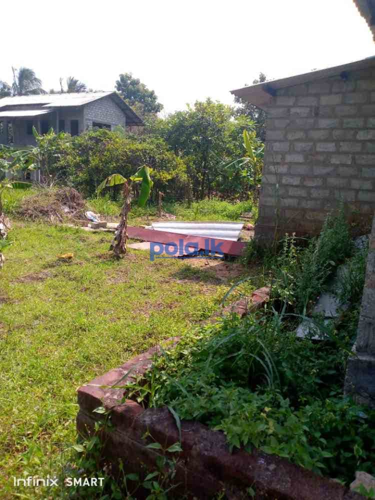 Land for sale in dambulla - photo 7