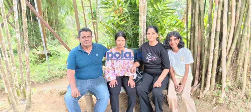 Land for sale in dambulla - photo 8
