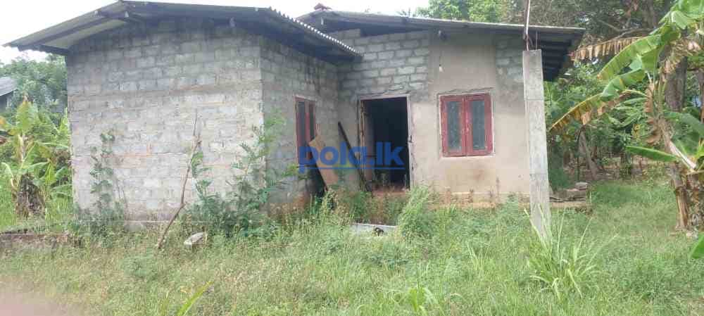 Land for sale in dambulla - photo 12