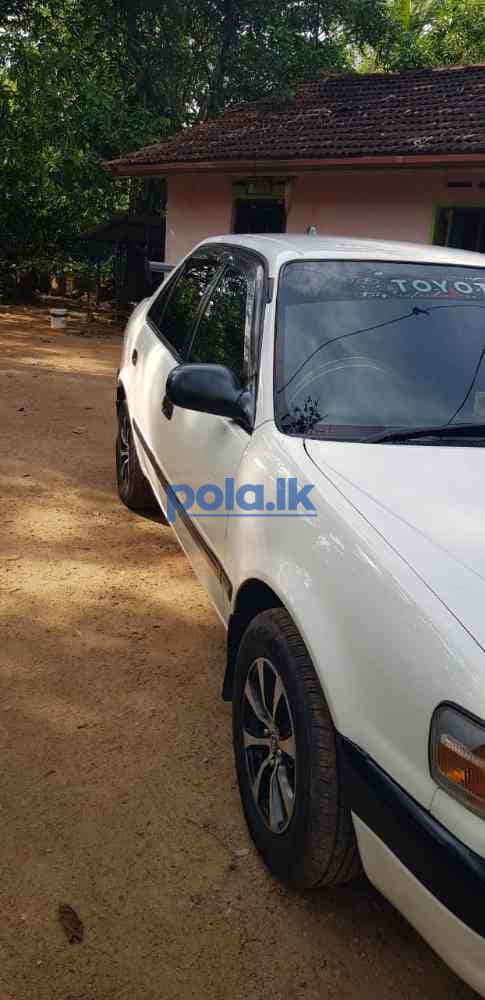 Toyota corolla - photo 5