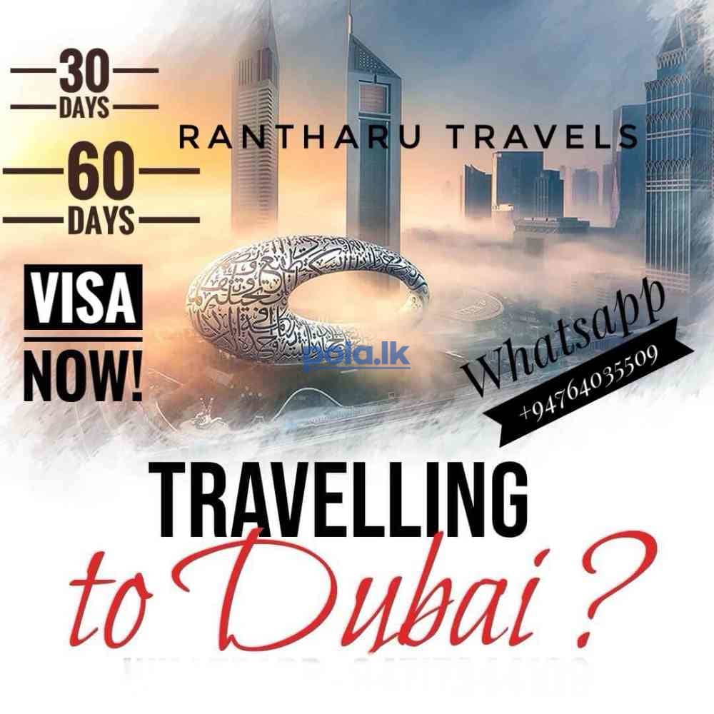 Jobs in bubai - photo 1