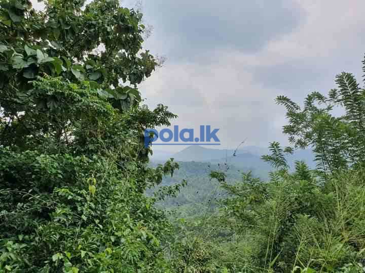 Land for sale near to pinnawala rambukkana - photo 5