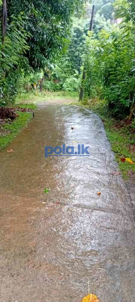Land for sale near to pinnawala rambukkana - photo 7