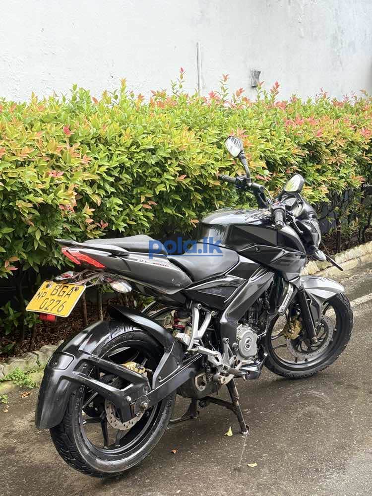 Bajaj pulsar - photo 5