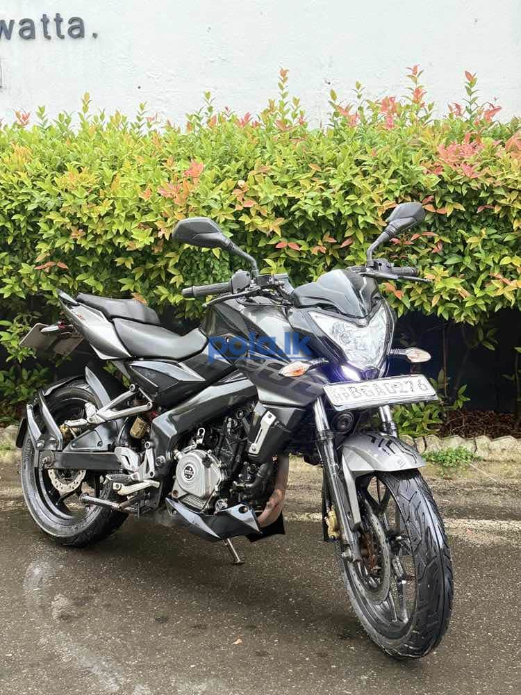 Bajaj pulsar - photo 4