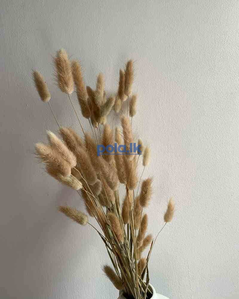 Fluffy dried bunny 50 pcs - photo 2