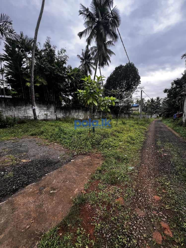 Land for sale in kadawatha - photo 1