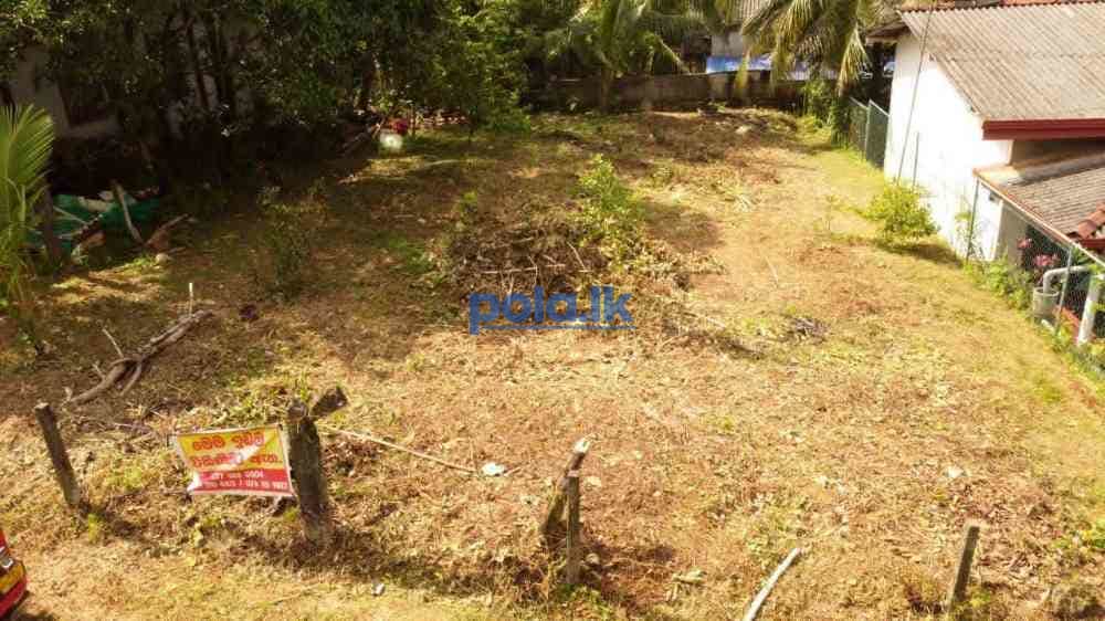 Land for sale urgently - photo 7