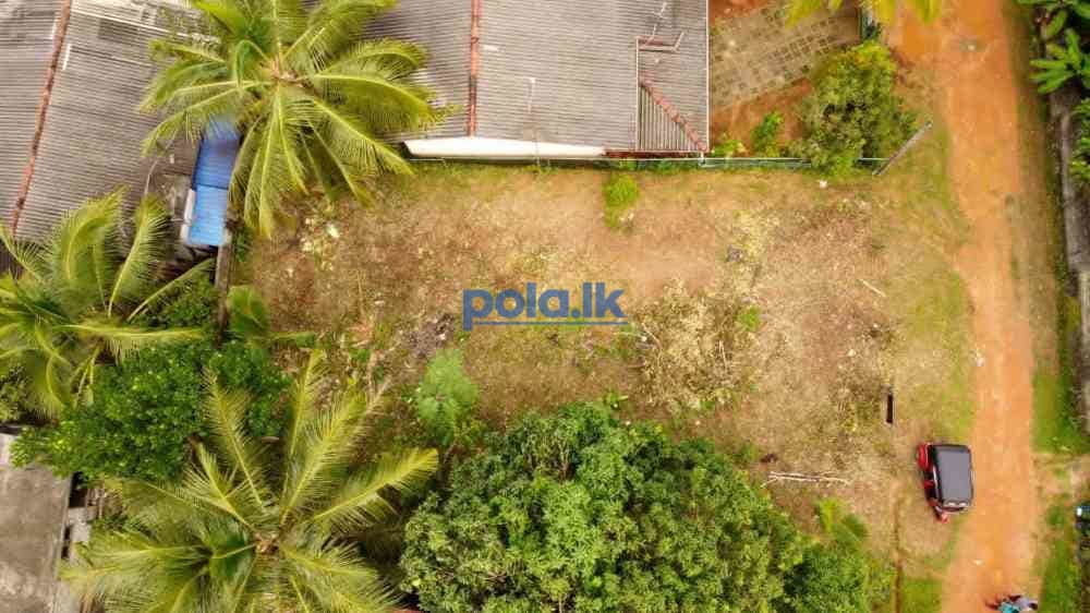 Land for sale urgently - photo 6