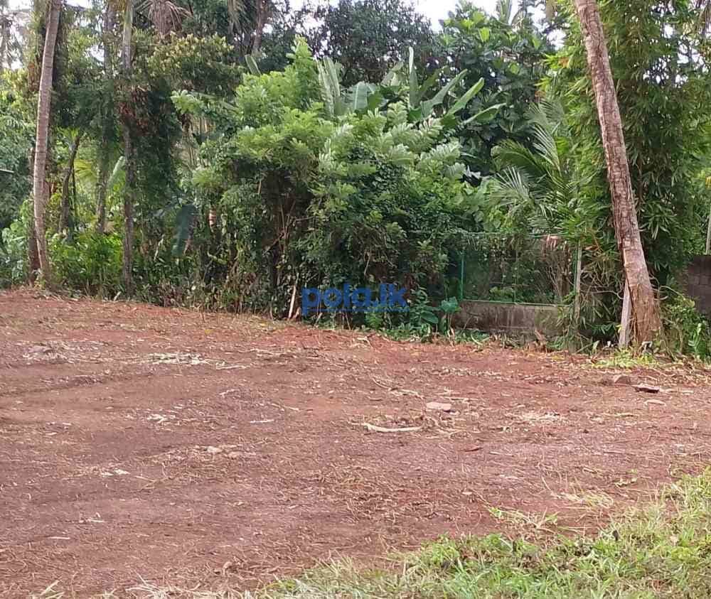 Land for sale in gampaha bandarawaththa - photo 3