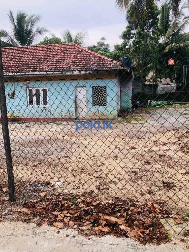 Land for sale in rattanapitiya - photo 5