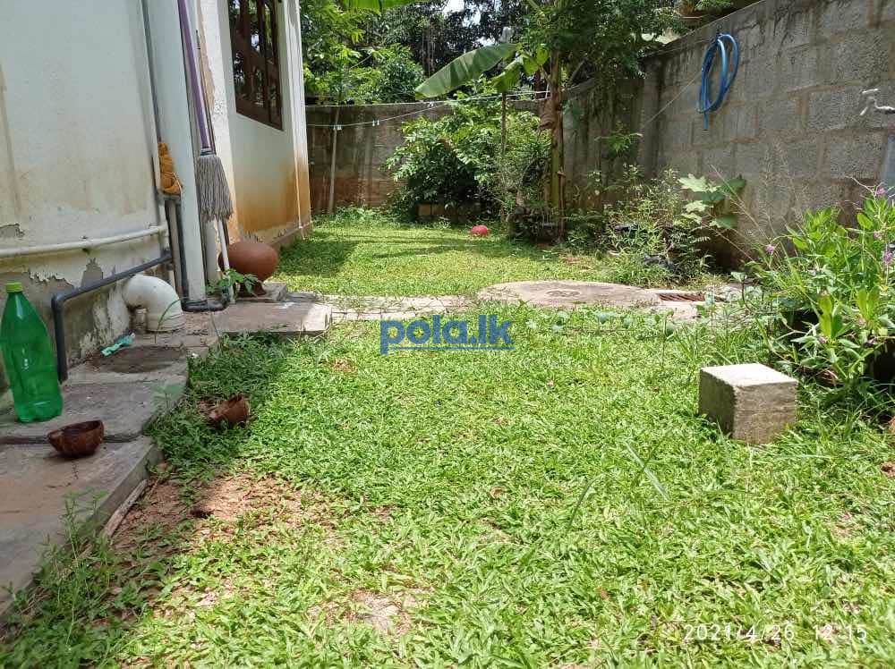House for rent in embilipitiya - photo 6