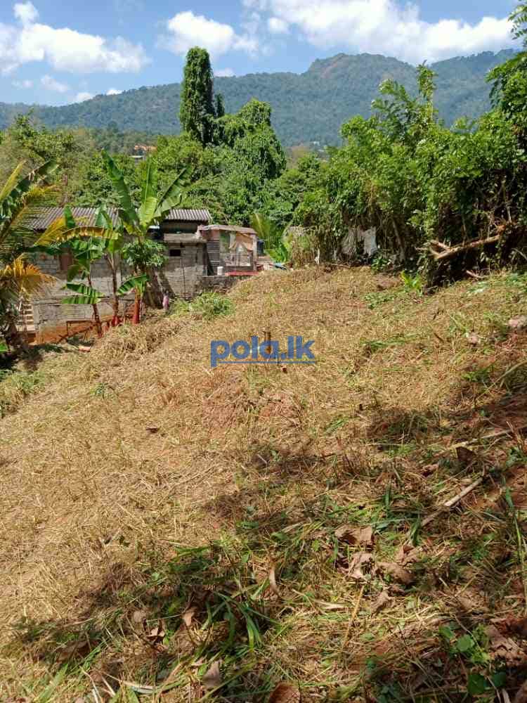 Land for sale in matale district - photo 2