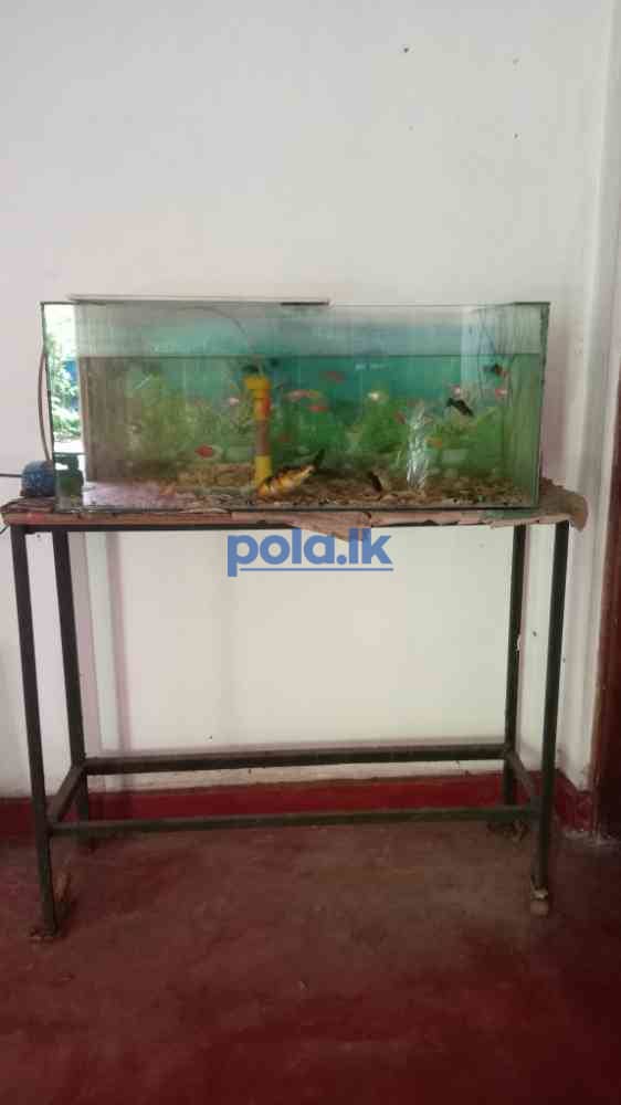 Fish tank for sale - photo 3