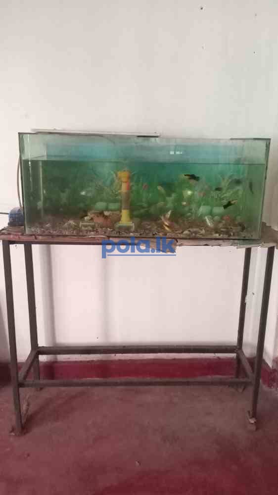 Fish tank for sale - photo 1