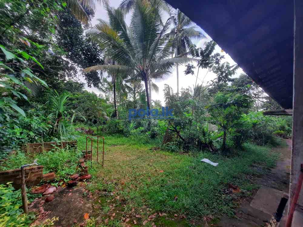 Land for sale in kaduwela - photo 3