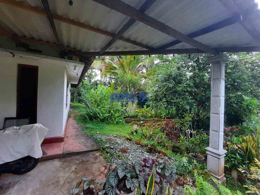 Land for sale in kaduwela - photo 6