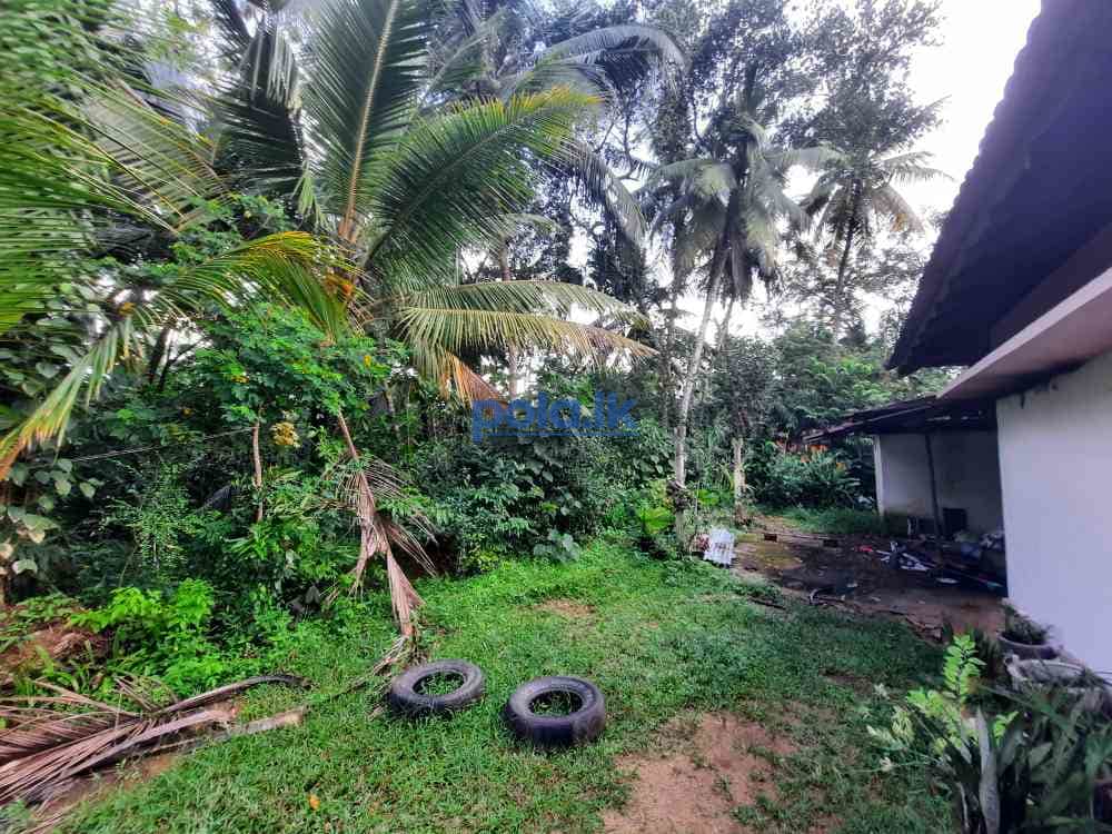 Land for sale in kaduwela - photo 7