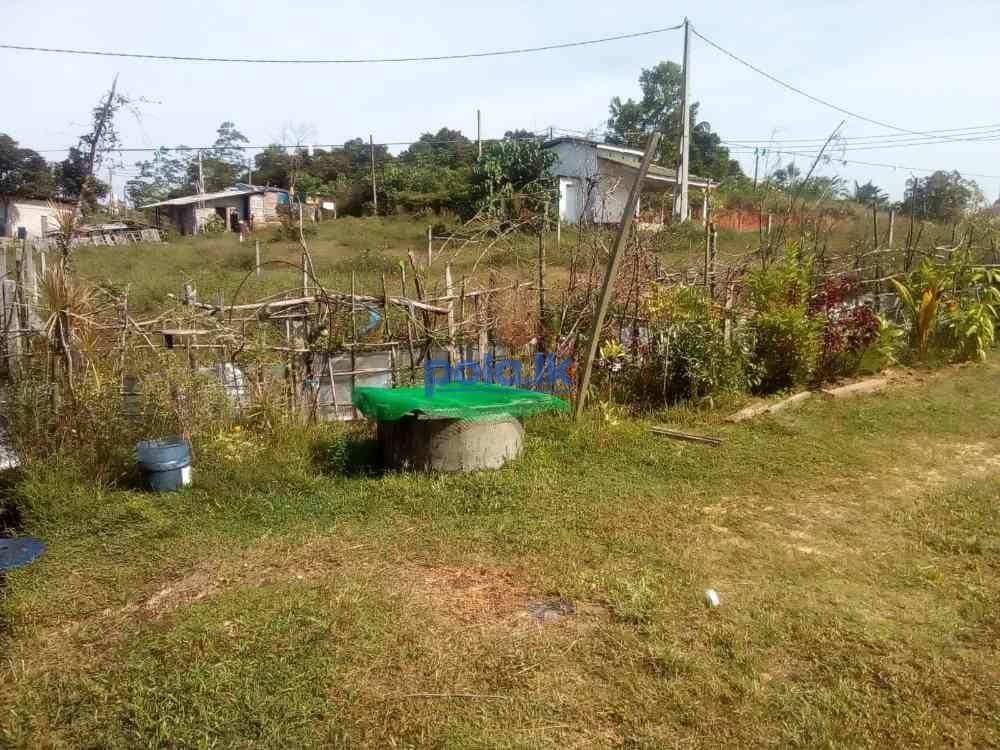 House with land for sale in horana - photo 4