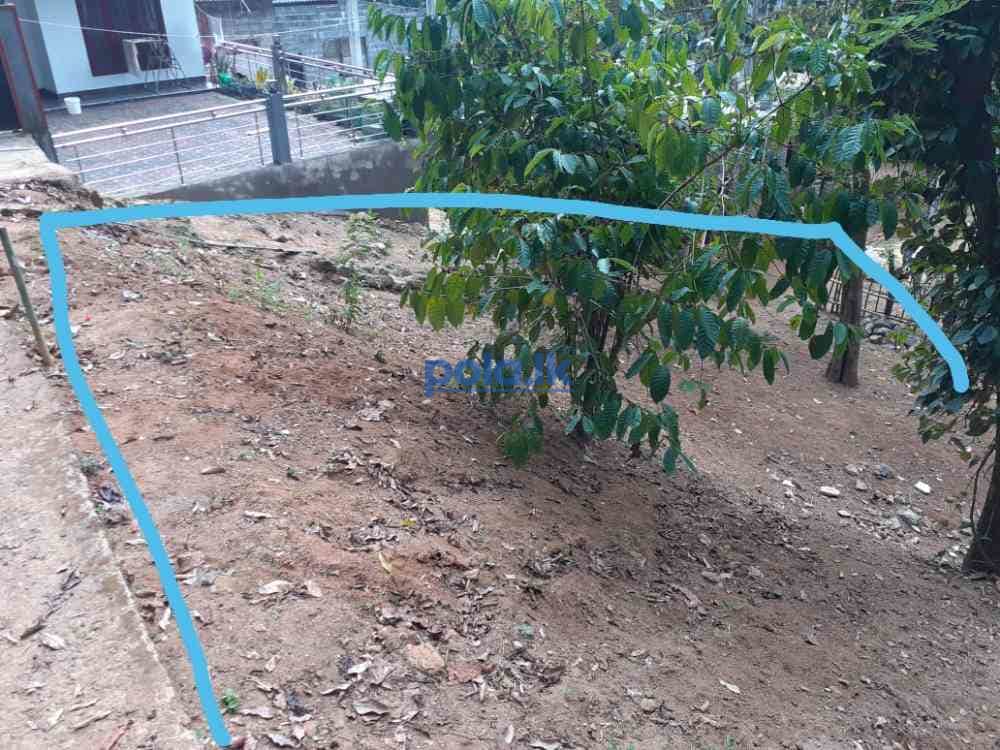 Land for sale in nawalapitiya - photo 1