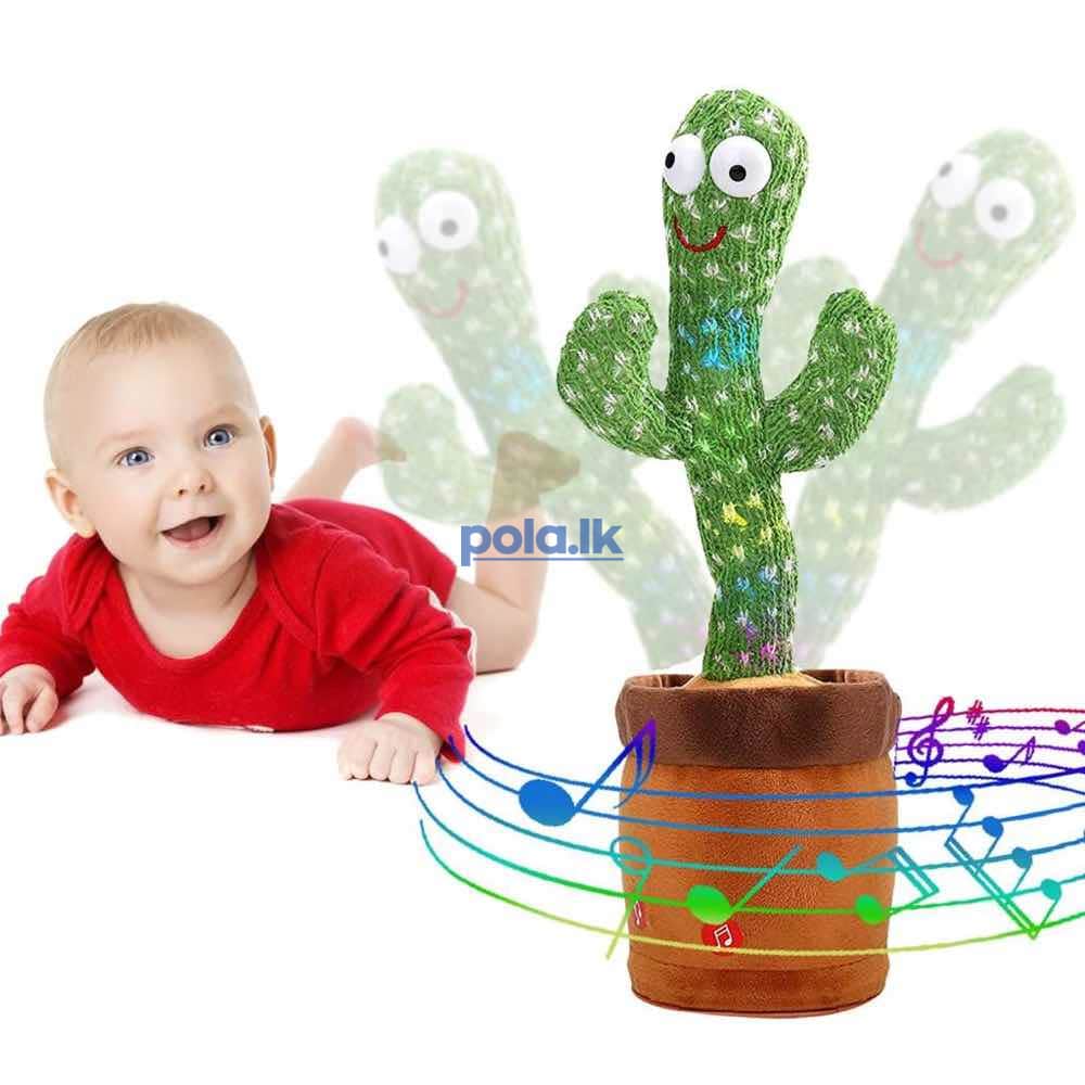Taking cactus - photo 2