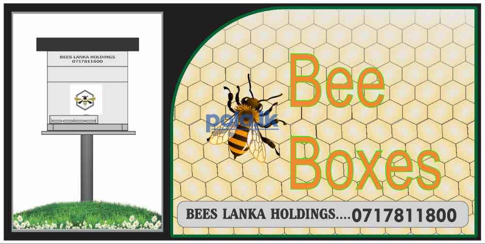 Bee boxes - photo 2