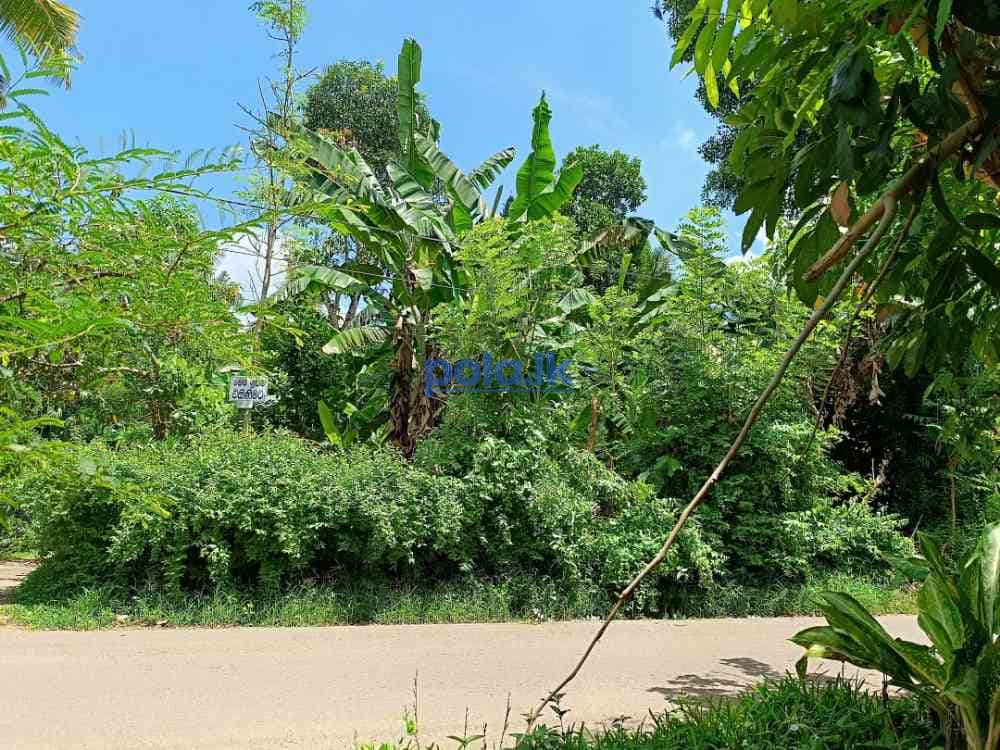 Land for sale in kadawatha - photo 2