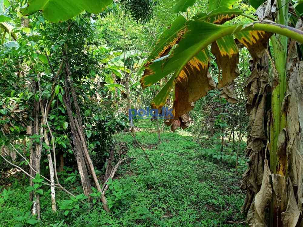 Land for sale in kadawatha - photo 4