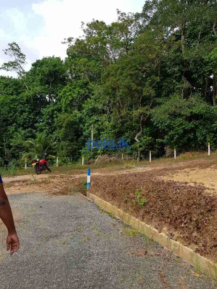 Land for sale in thalagaha - photo 2