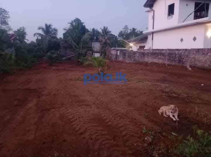 Land for sale near to dedangoda highway - photo 1