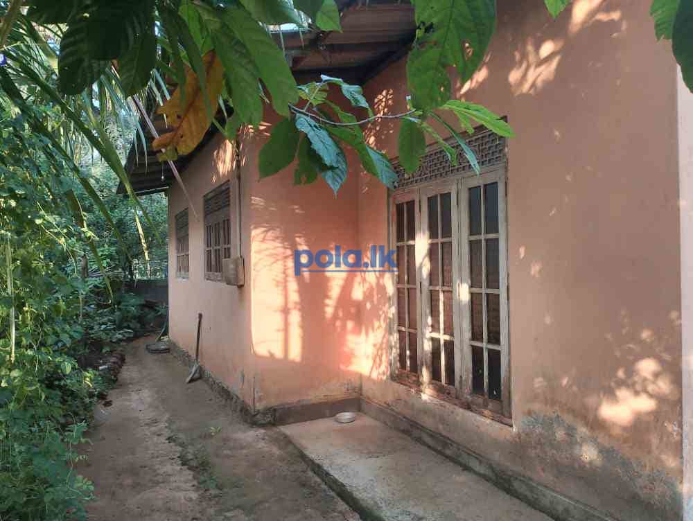 House for sale in poruwadanda - photo 2