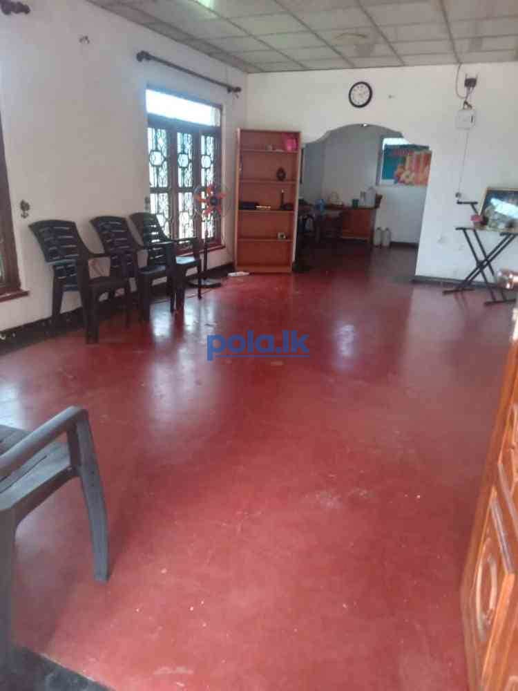 House with land - photo 5