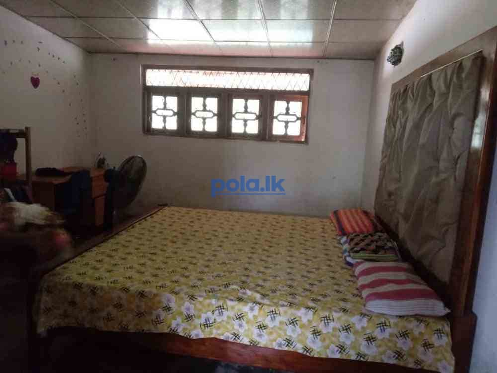 House with land - photo 4