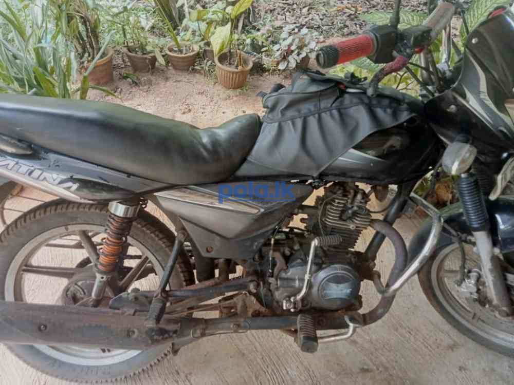 Bajaj paltina - photo 1