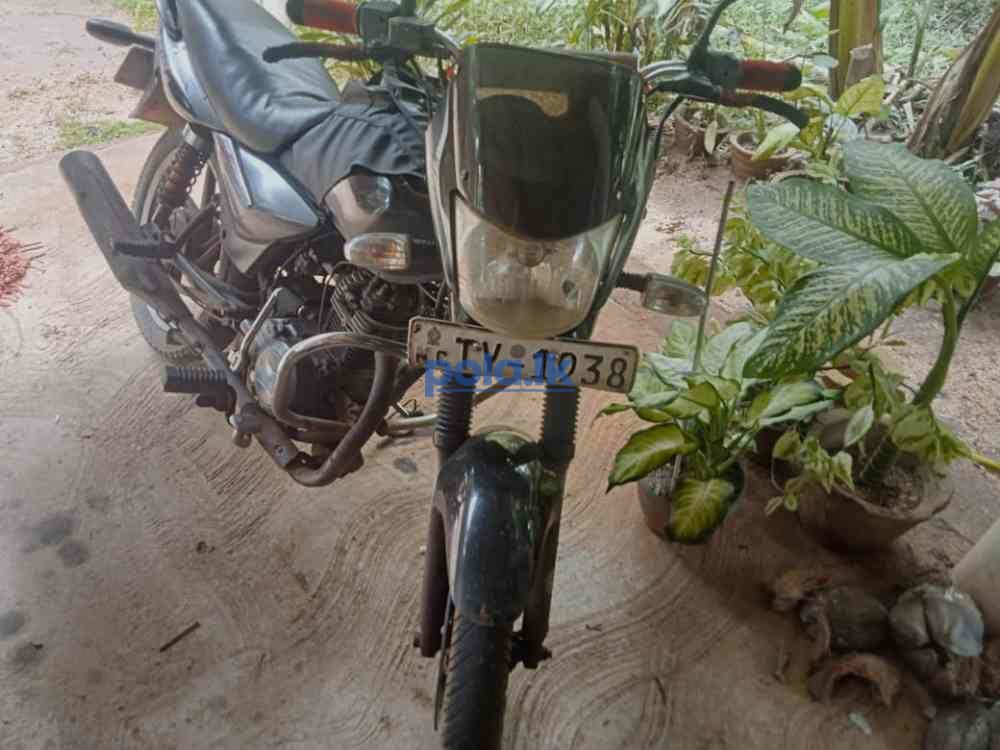 Bajaj paltina - photo 4