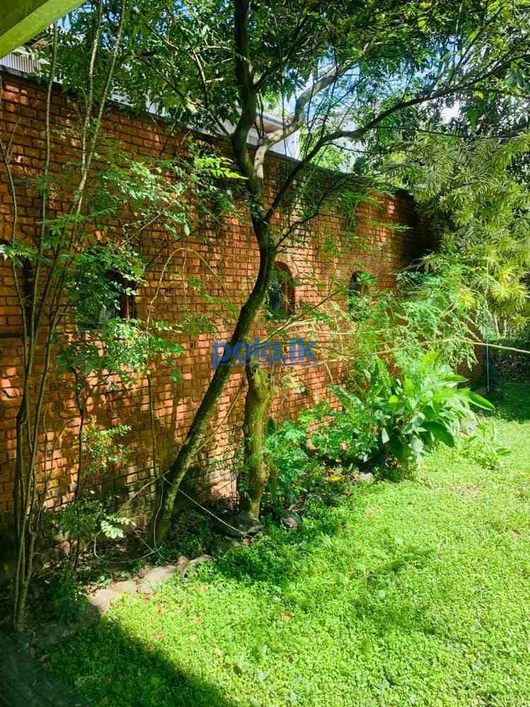 Valuable 25 perches house for sale in nugegoda - photo 6