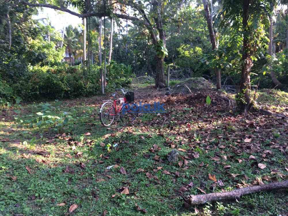 Land for sale near habaraduwa koggala tourist area - photo 5