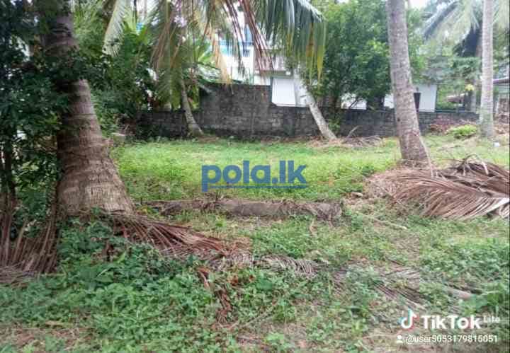 Land for sale Panadura - photo 3