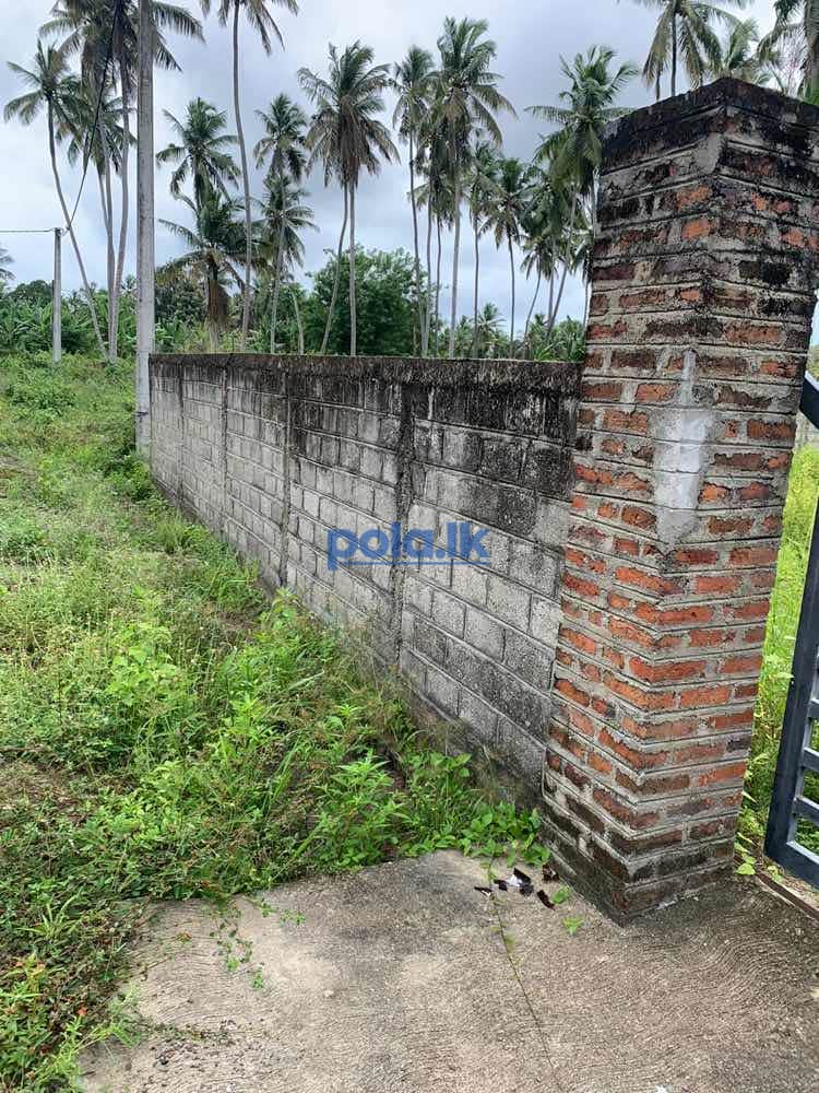 Land for sale in nattandiya - photo 2