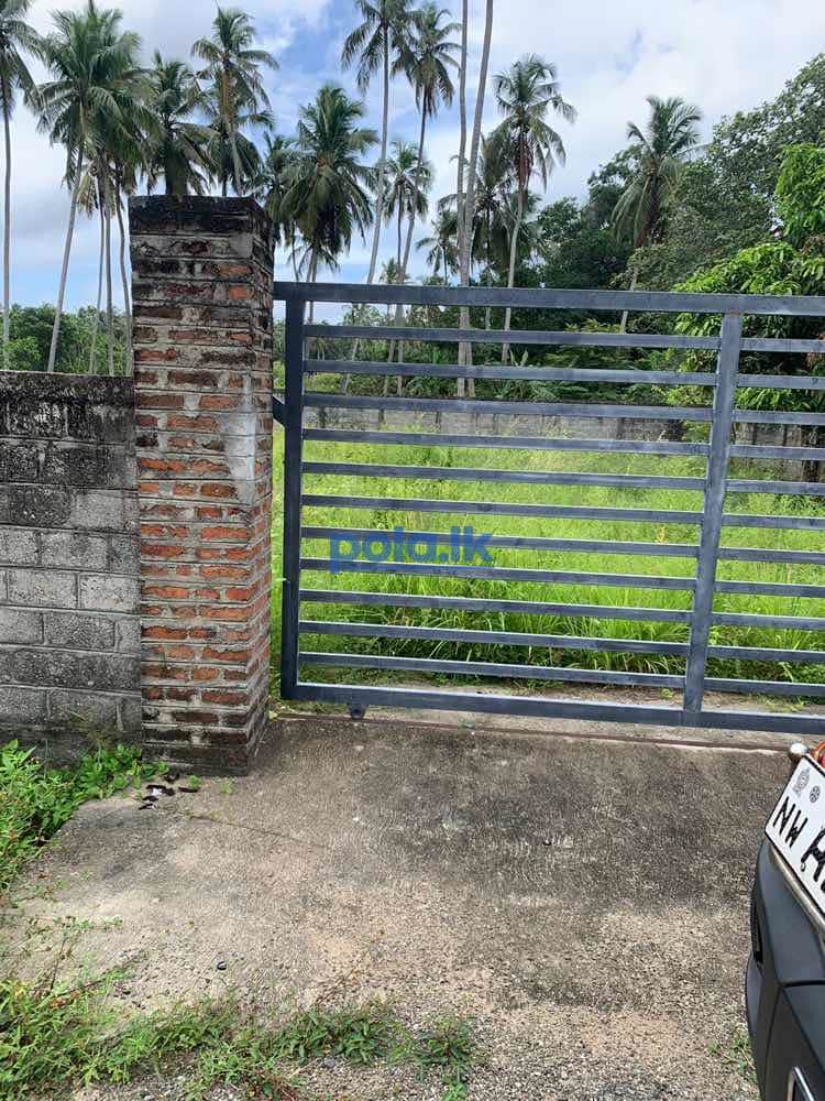 Land for sale in nattandiya - photo 4