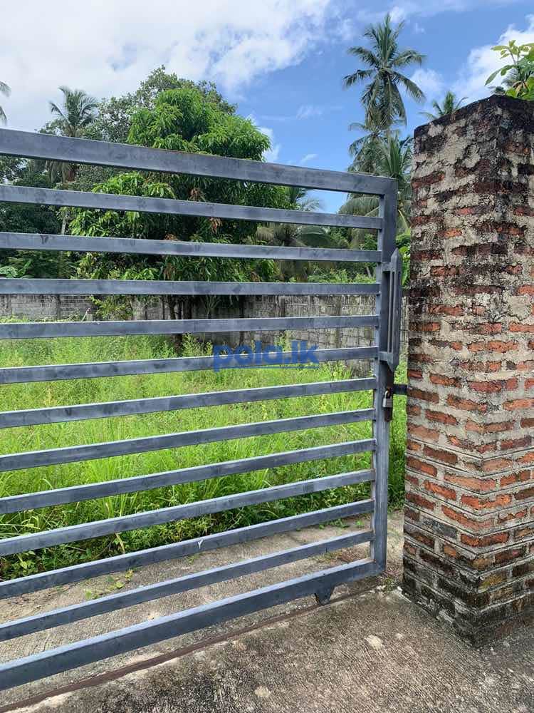 Land for sale in nattandiya - photo 5