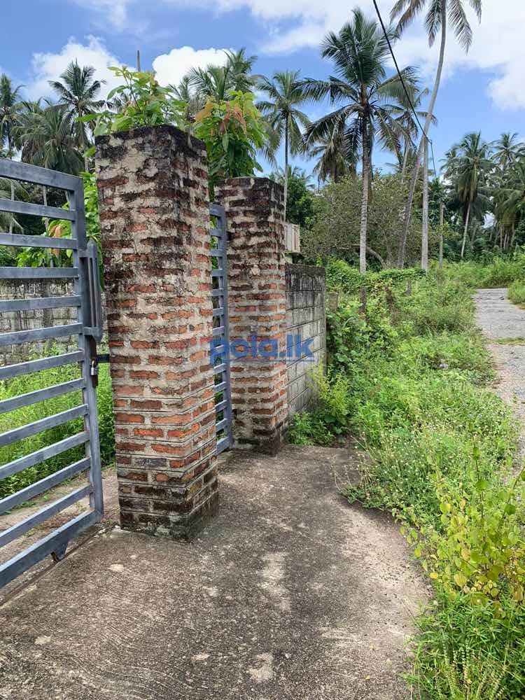 Land for sale in nattandiya - photo 3