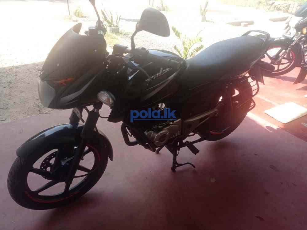 Pulsar 150 - photo 4