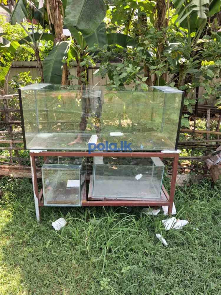 Fish tank for sale - photo 1