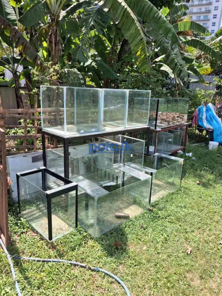 Fish tank for sale - photo 3