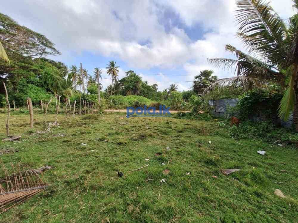 Nuracholai town most near land for sale - photo 1